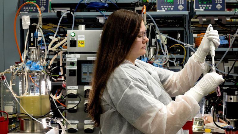 What Makes a Bio-Based Product Commercially Successful? 